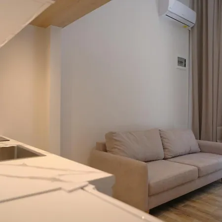 Flagship Apartment